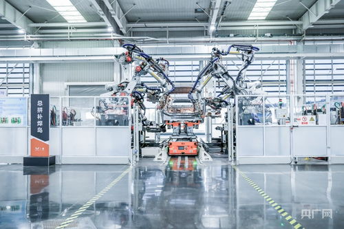 “十五五”啟新程 向新向智，機器人解鎖產業新賽道